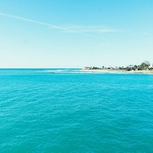 Meet your Posher, Joy